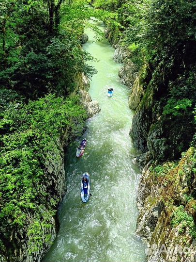 Detox Йога-тур в Сочи