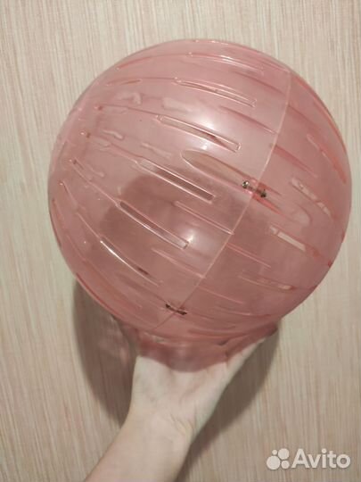 Шар для больших грызунов