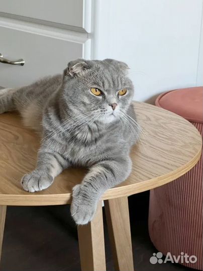 Деревянный придиванный столик