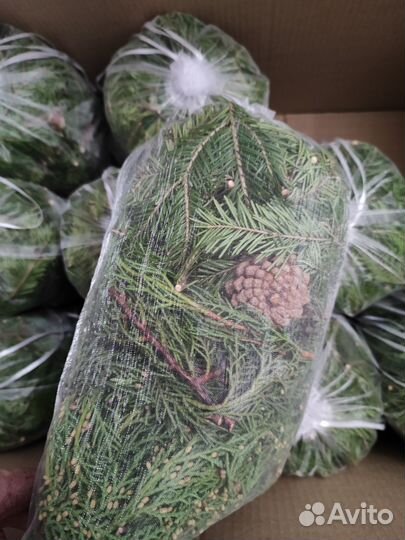 Товары для бани, запарки для чана