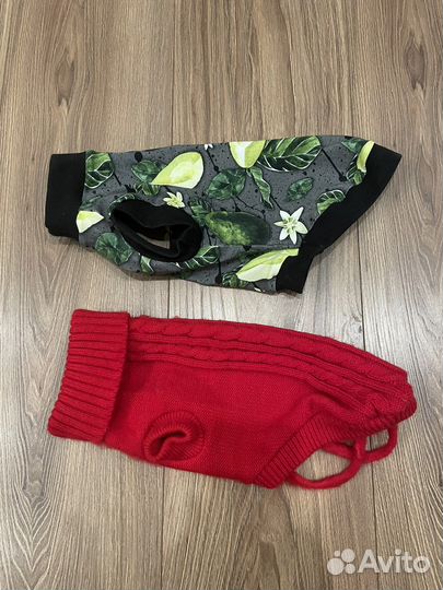 Одежда для кошек