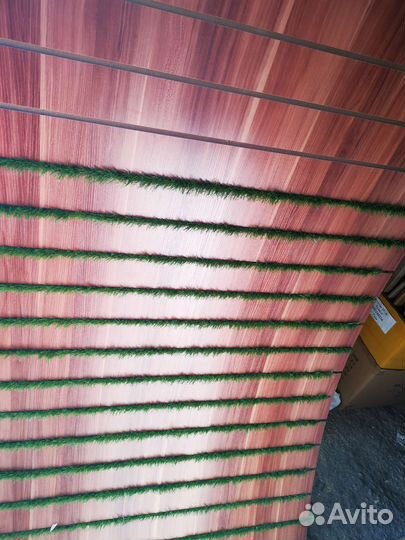 Экономпанель