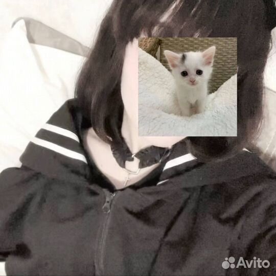 Зипка женская