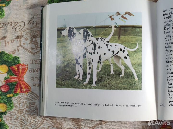 Братиславская книга про собак (псов)