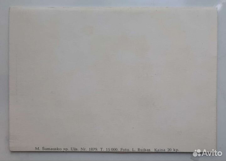 Открытка с автографом Роки Аоки