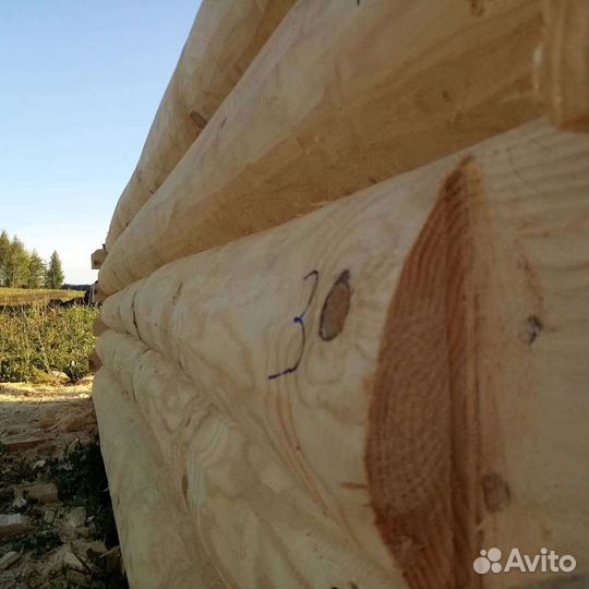 Срубы бань и домов