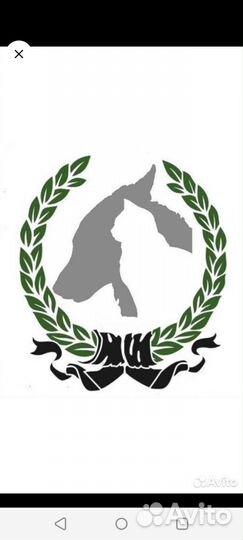 Усыпление животных. Эвтаназия животных. Кремация