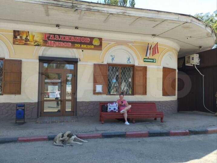 Общепит, 220 м²