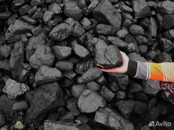 Дрова из лучших пород дерева для вашего очага