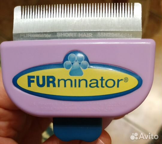 FURminator short hair
