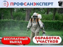 Уничтожение кротов клещей комаров ос борщевика
