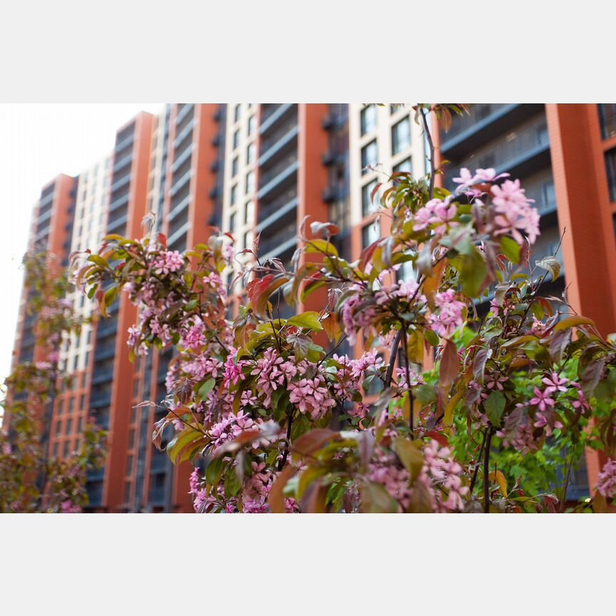 3-к. квартира, 105 м², 13/18 эт.