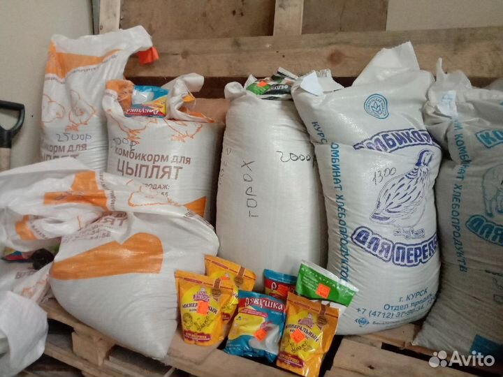 Корм для кур