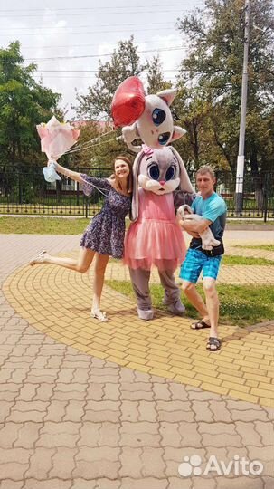 Поздравление от зайки