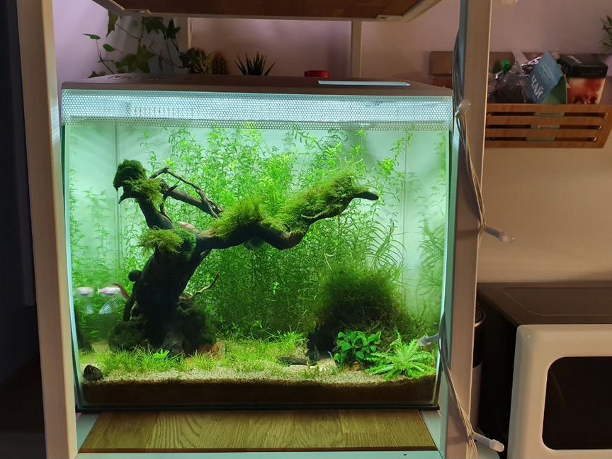 Аквариум Fluval Flex 34л + оборудование + средства