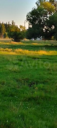 Участок 25 сот. (ИЖС)