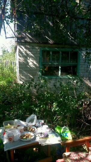 Дача 20 м² на участке 8 сот.