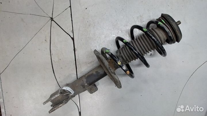 Амортизатор подвески Toyota Yaris, 2003