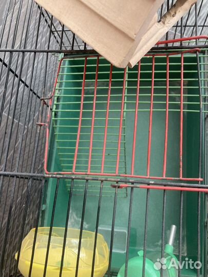 Клетка для грызунов