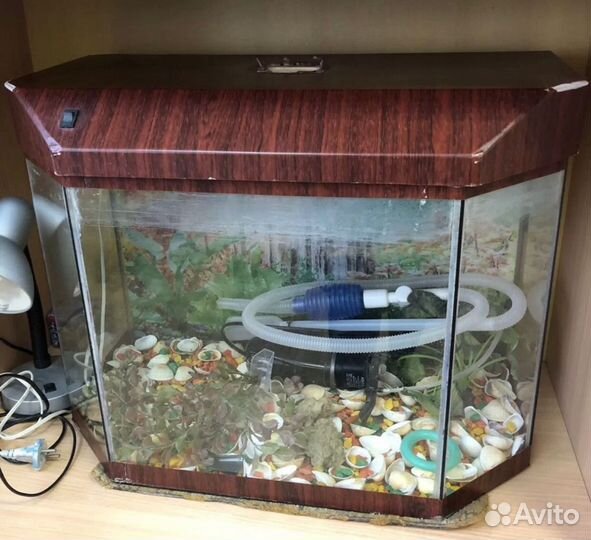 Аквариум