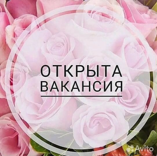 Оператор в чат (без опыта)