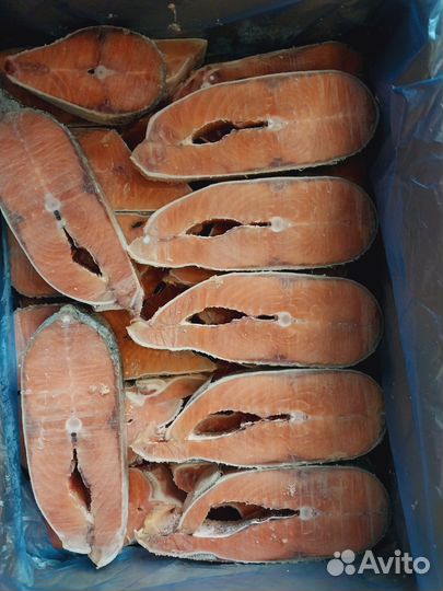 Кижуч потрошёны без головы