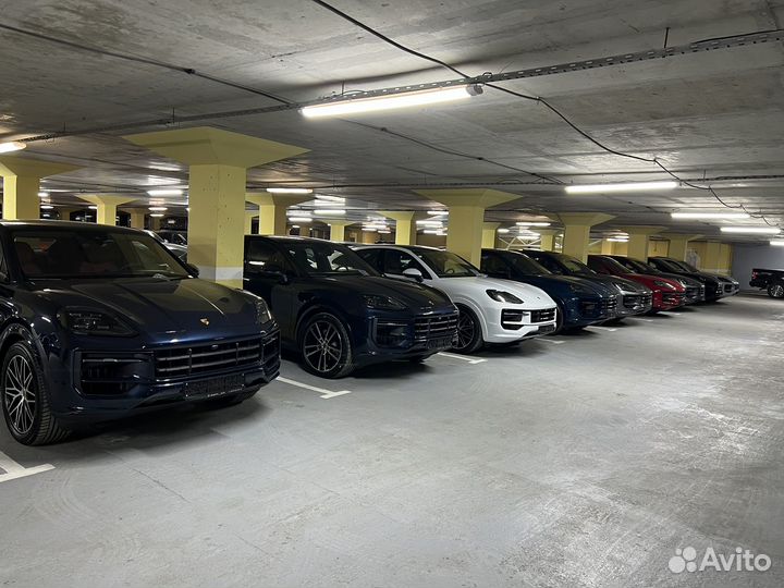 Porsche Cayenne 3.0 AT, 2024, 10 км