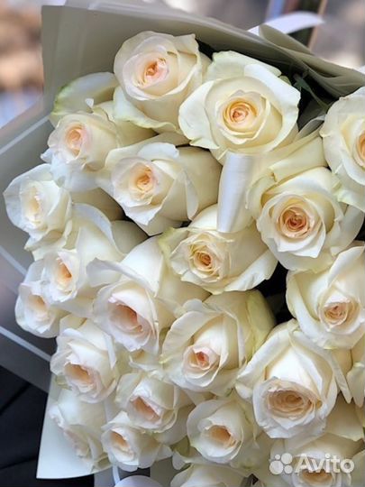 Розы эквадор Тюльпаны Мелкий Опт Розница Доставка