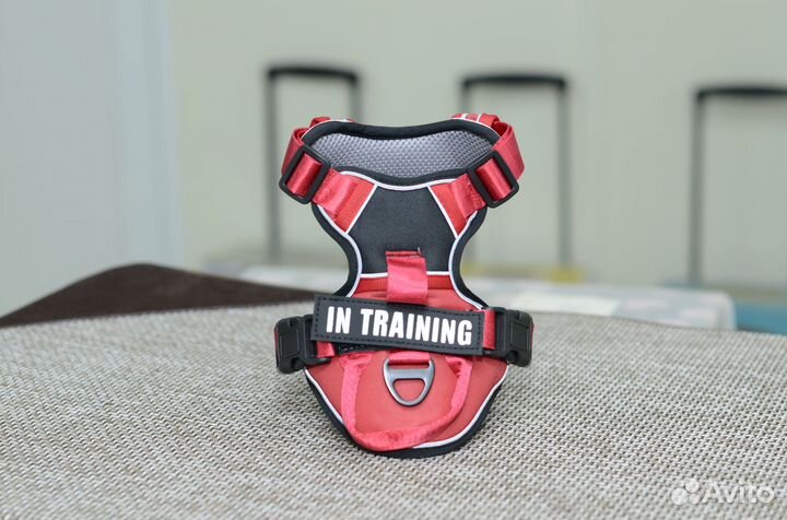 Шлейка для собак 3 вида размеры цвет