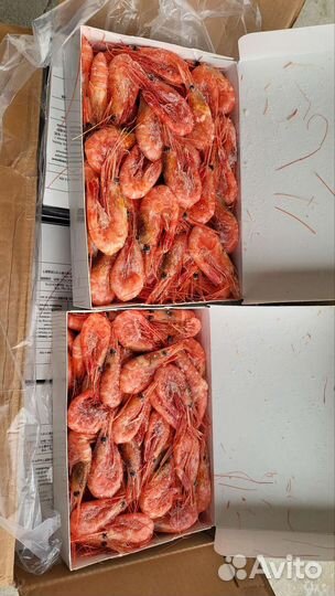 Креветка северная, крабы