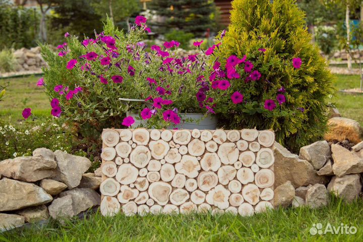 Панно из можжевельника