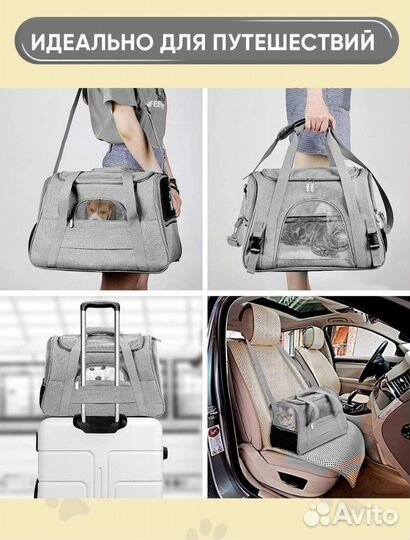 Сумка переноска для кошек