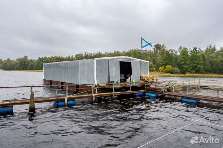 Форелевая ферма-хозяйство