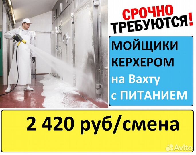 Ишалино вахта с питанием мойщик оборудования