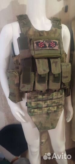 Плитник мох, с плитами