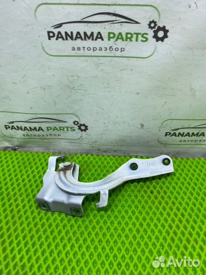 Петля капота передняя левая Renault Koleos 2.5