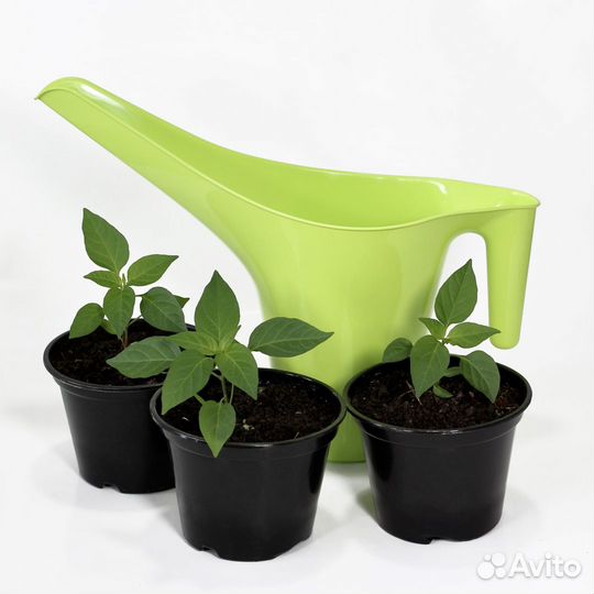 Лейка Милих Алтея для комнатных растений 1.7 л