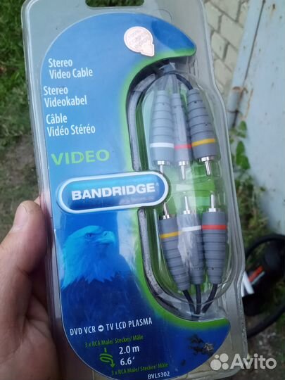 Тюльпаны провода