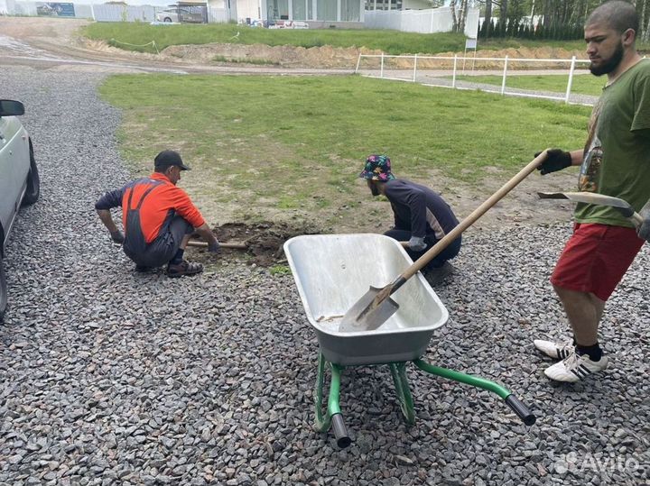 Качественный газон под ключ