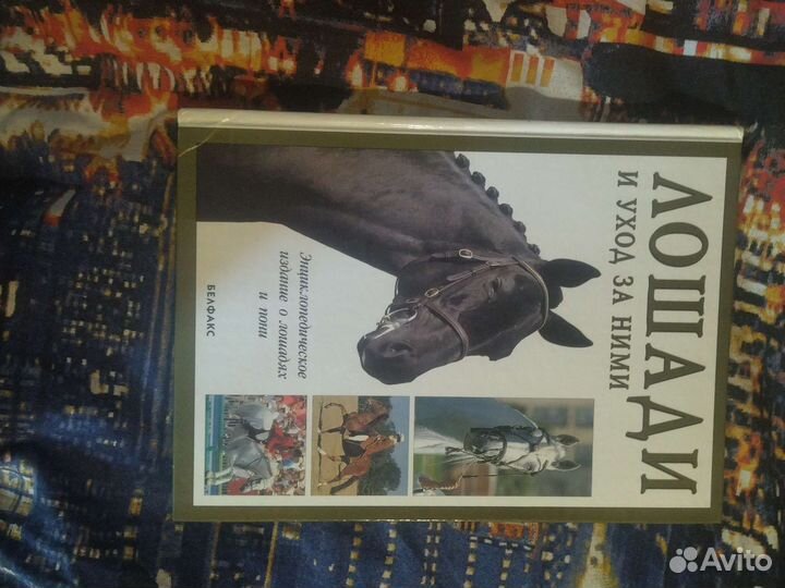 Лошади и уход за нимн, энциклопедия