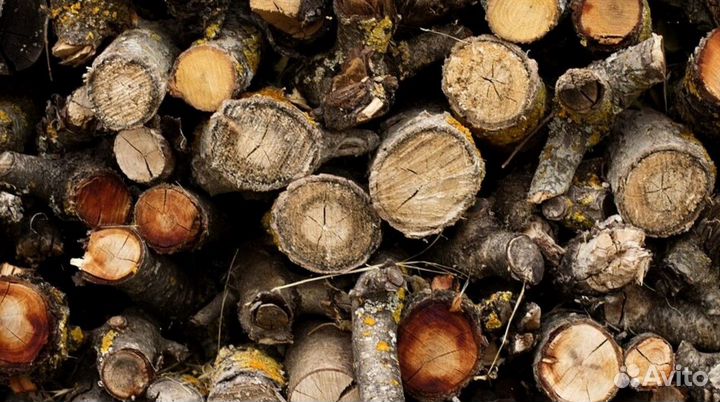 Дрова чистые