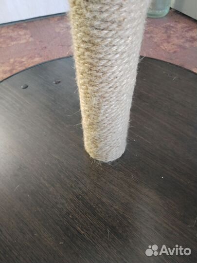 Когтеточка для кошки