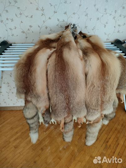 Лисья шкура