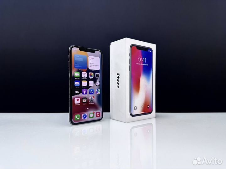 iPhone X, 256 ГБ