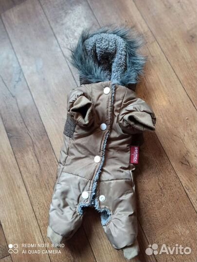 Курточка для Чихуахуа S