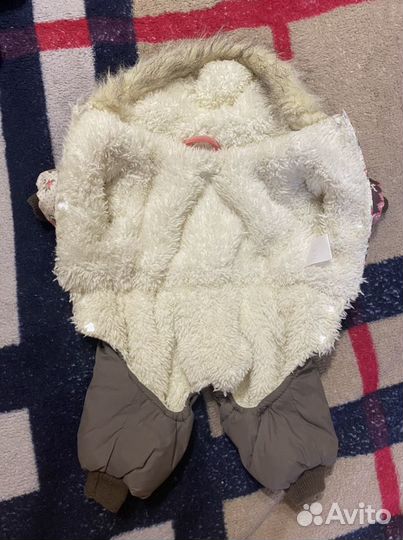 Утеплённый комбинезон для собак мелкой породы