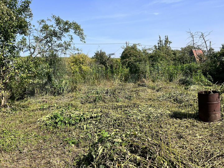 Участок 5,2 сот. (СНТ, ДНП)