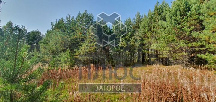 Участок 20 сот. (ИЖС)