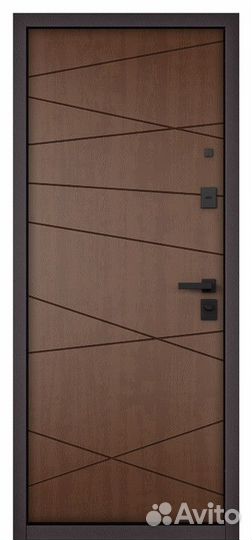 Дверь входная железная