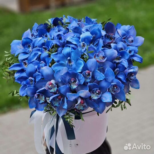 Орхидея в коробке